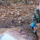 Illustration for article titled Precocious And Horrifying Four-Year-Old Kills Two Deer With Shotgun